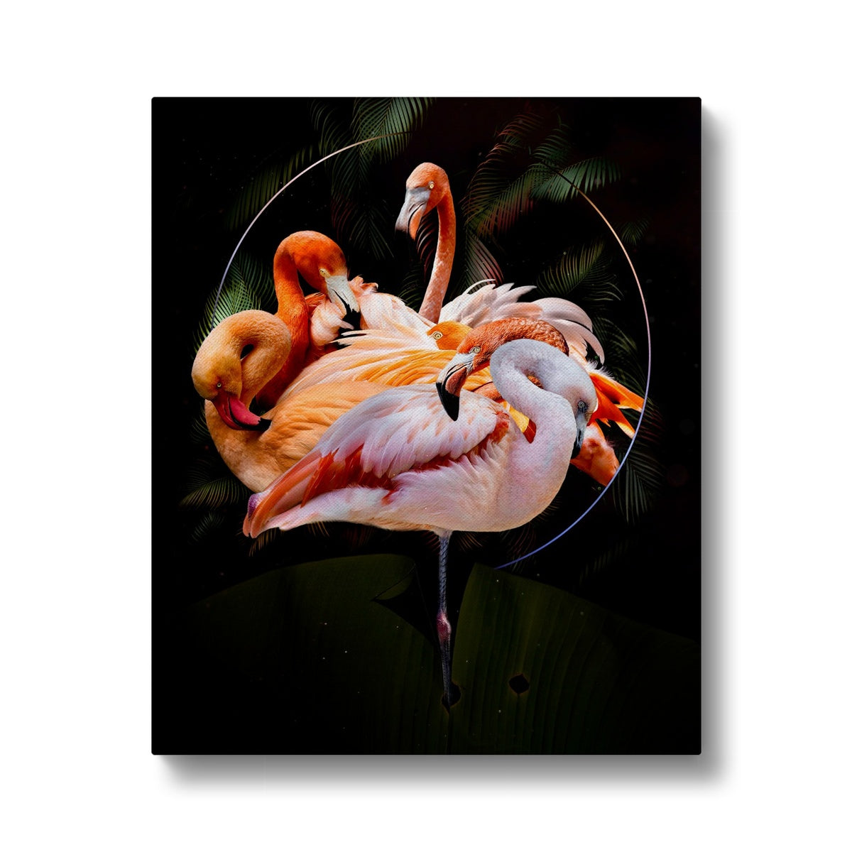 Striking Flamingo Wall Art  Canvas