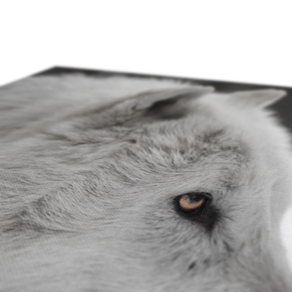 Majestic Wolf Stare Canvas