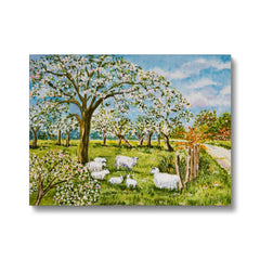 Incredible Oil Painting Of Sheep Canvas