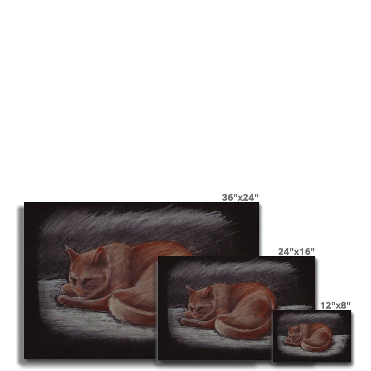 Orange Cat Sleeping Painting Canvas