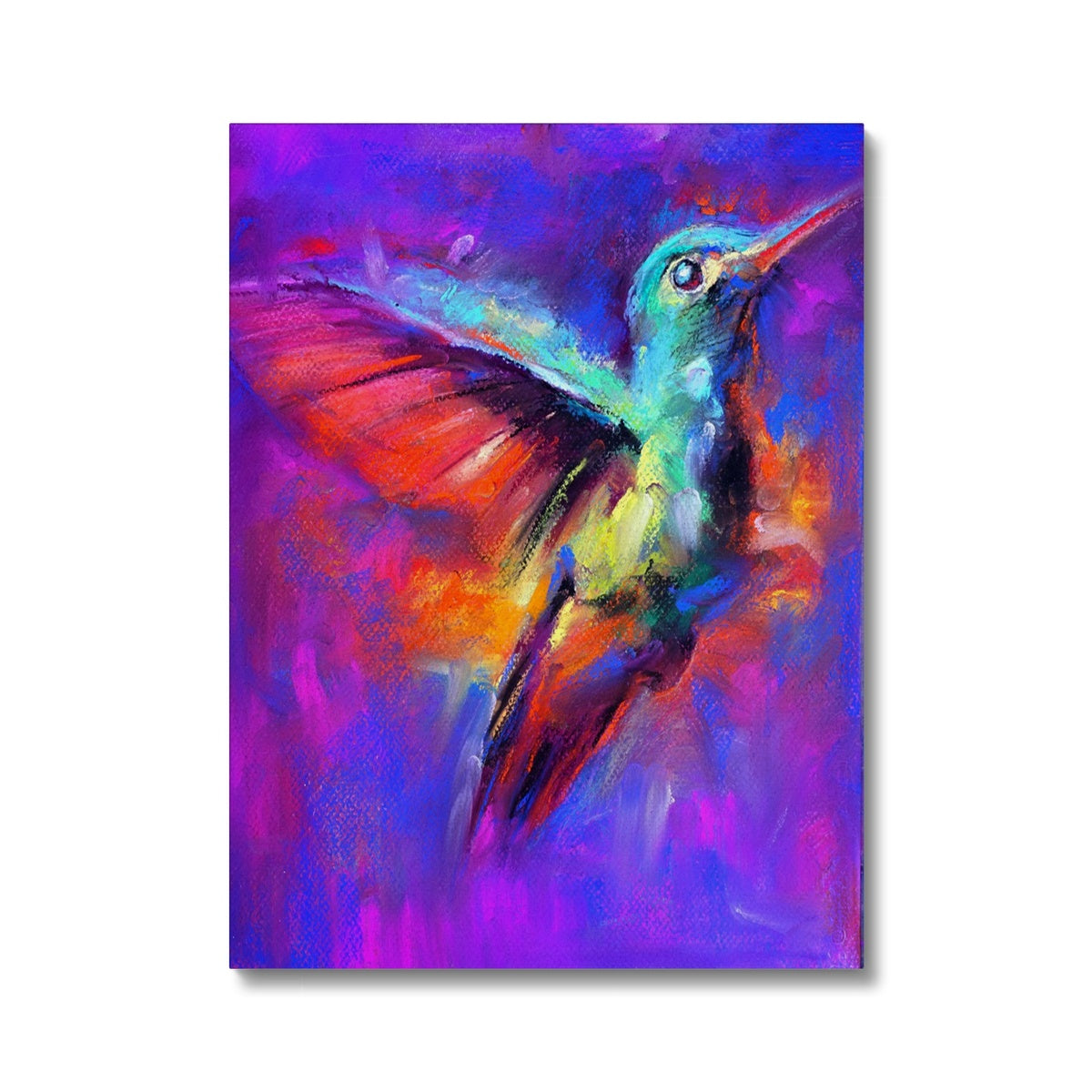 Abstract Multi Colour Humming Bird Art Canvas