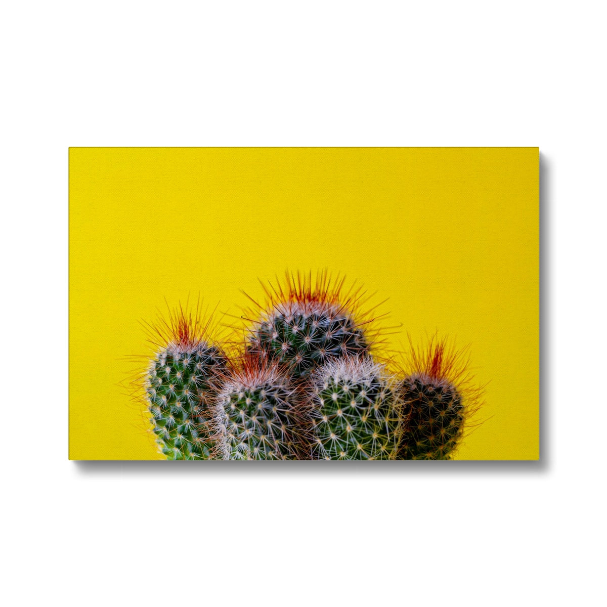 Cactus Serenity Strokes Canvas