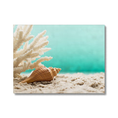 Ethereal Sea Shell Wall Art Canvas