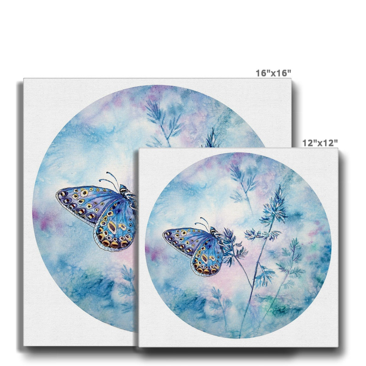 Ethereal Butterfly Display  Canvas