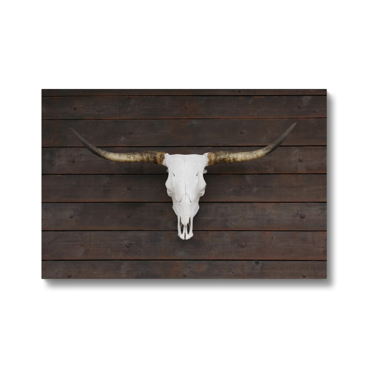 Majestic Bison Beauty  Canvas