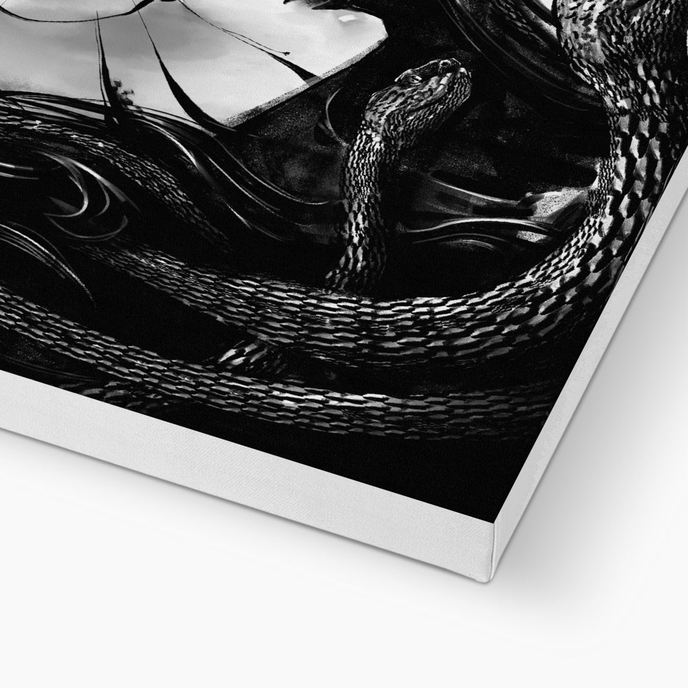 White & Black Medusa Illustration Canvas