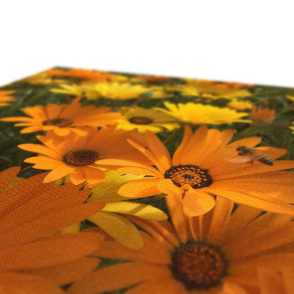 Ravishing Yellow African Daisy Canvas