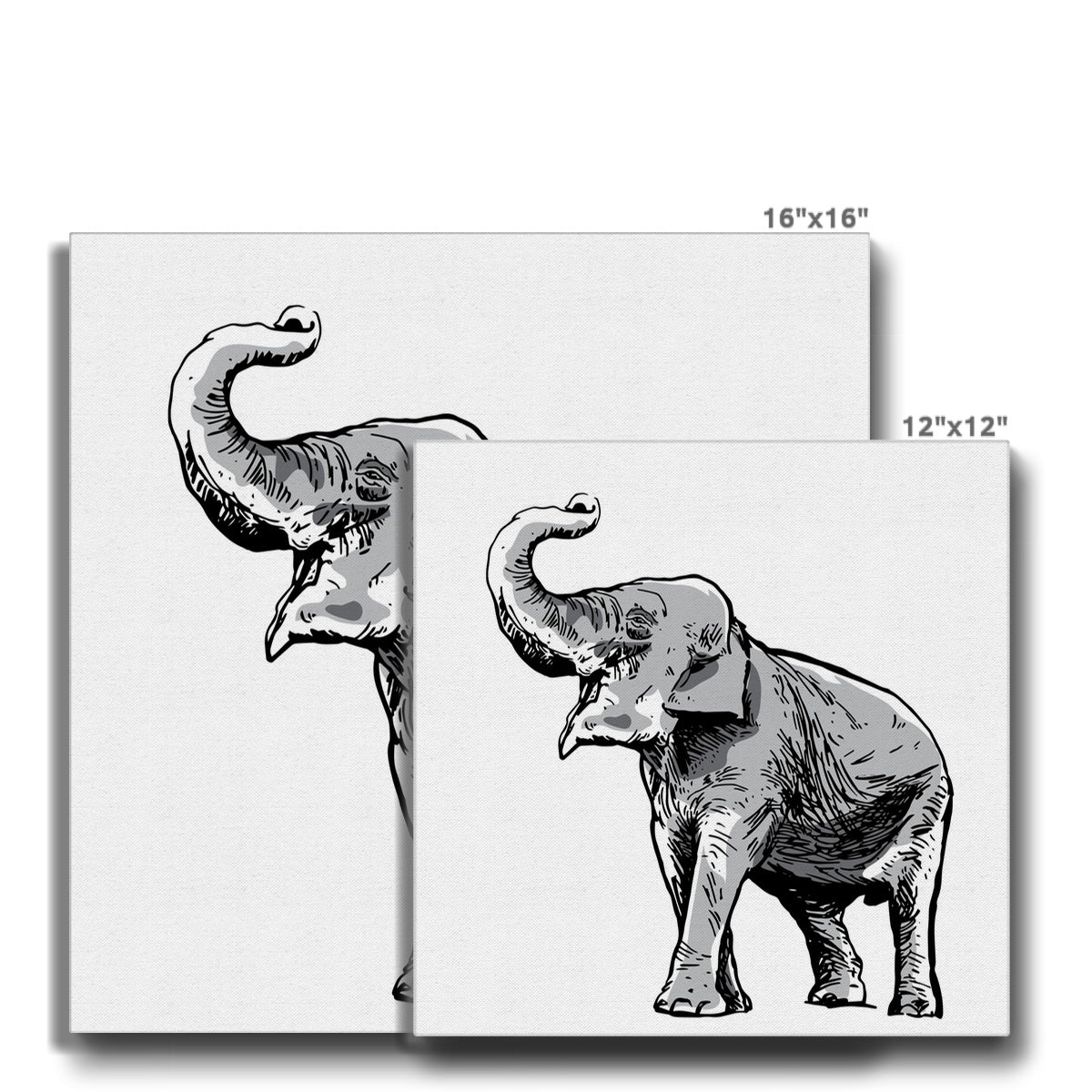 Monochrome Elephant Animation Canvas