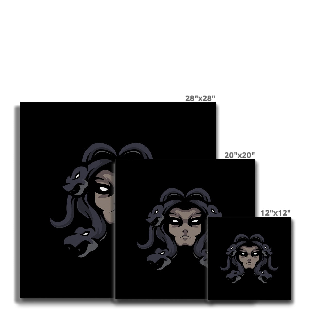 Black & Gray Medusa Illustration Canvas