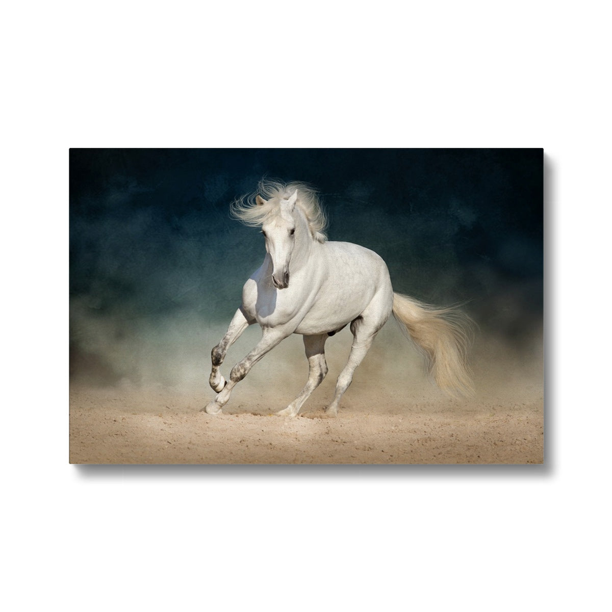 Enchanting White Horse Beauty Canvas