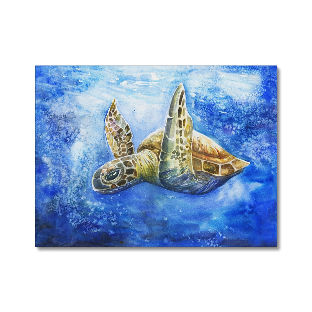 Aquatic Turtle Majesty Canvas