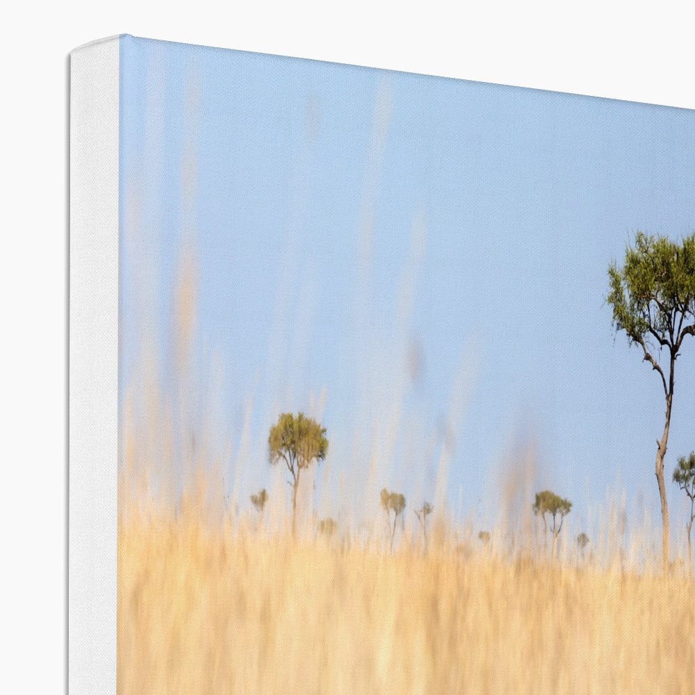 Red Oat Grass Natural Wilderness Canvas