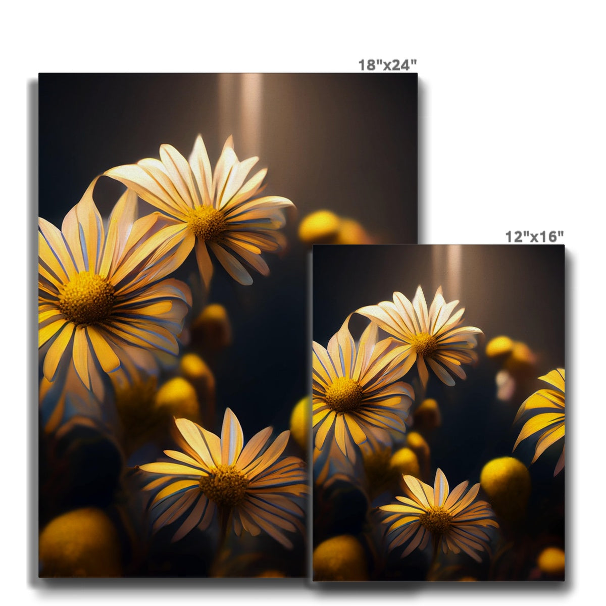 Breathtaking Yellow African Daisy Canvas