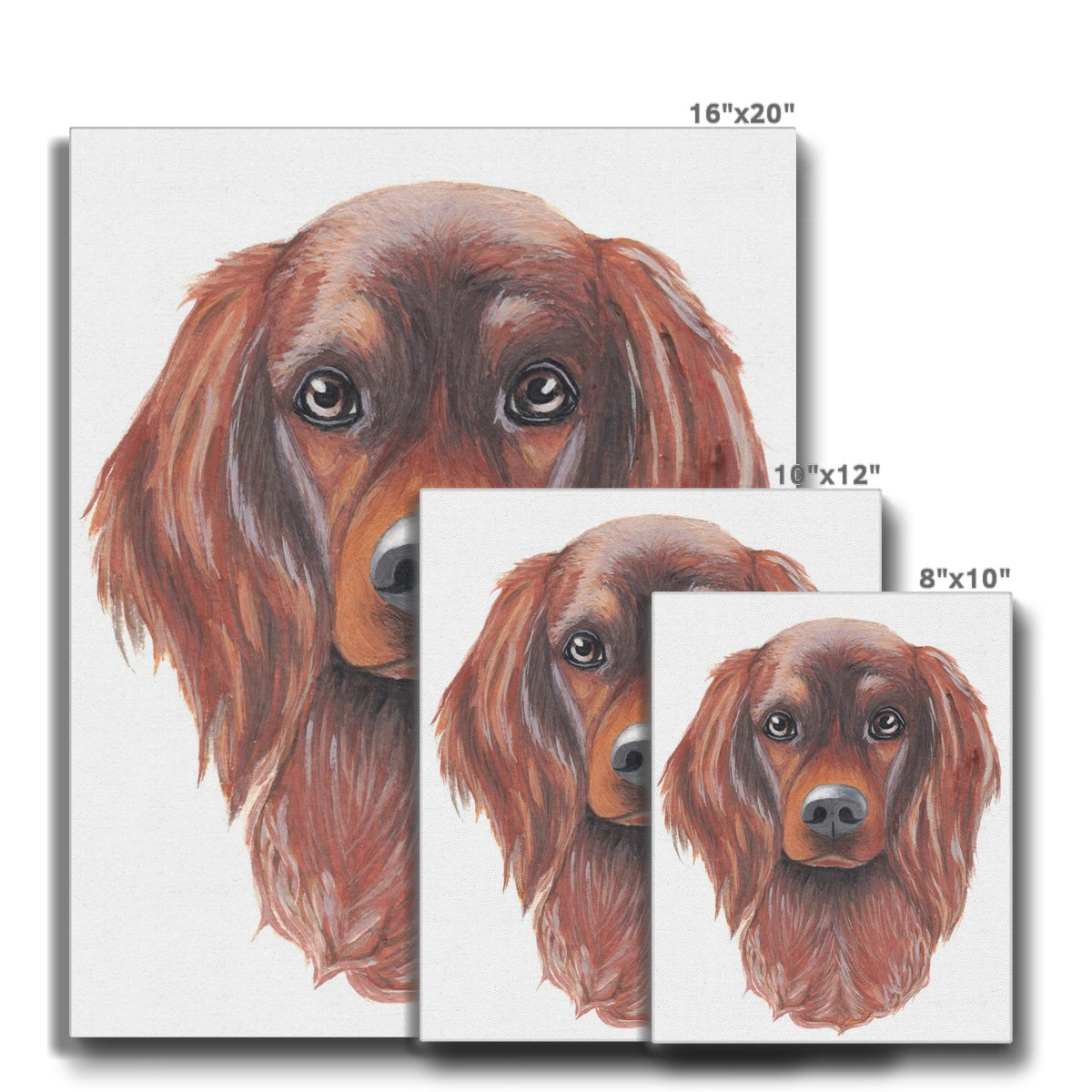 Brown Basset Hound Painting Canvas