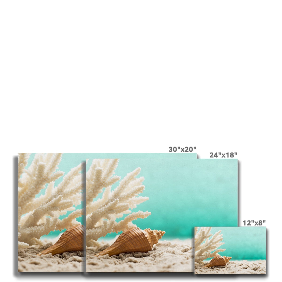 Ethereal Sea Shell Wall Art Canvas