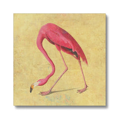 Pink Flamingo Portrait Canvas