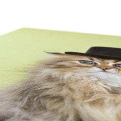 Golden Cat Top Hat Canvas