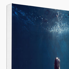 Mermaid, Marine Goddess Art Canvas