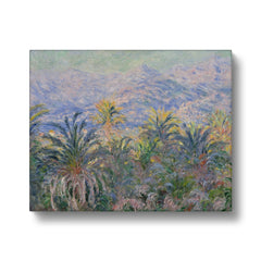 Palm Trees At Bordighera , 1884 , Claude Monet  Canvas