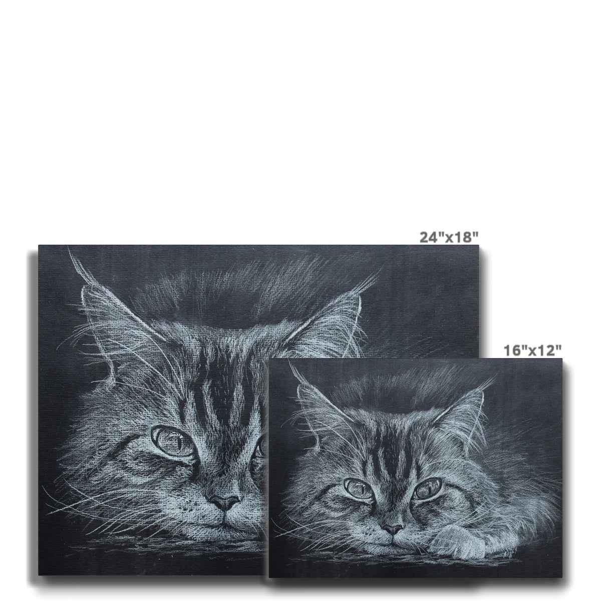 Black & White Chalk Sketch Of Cat Canvas