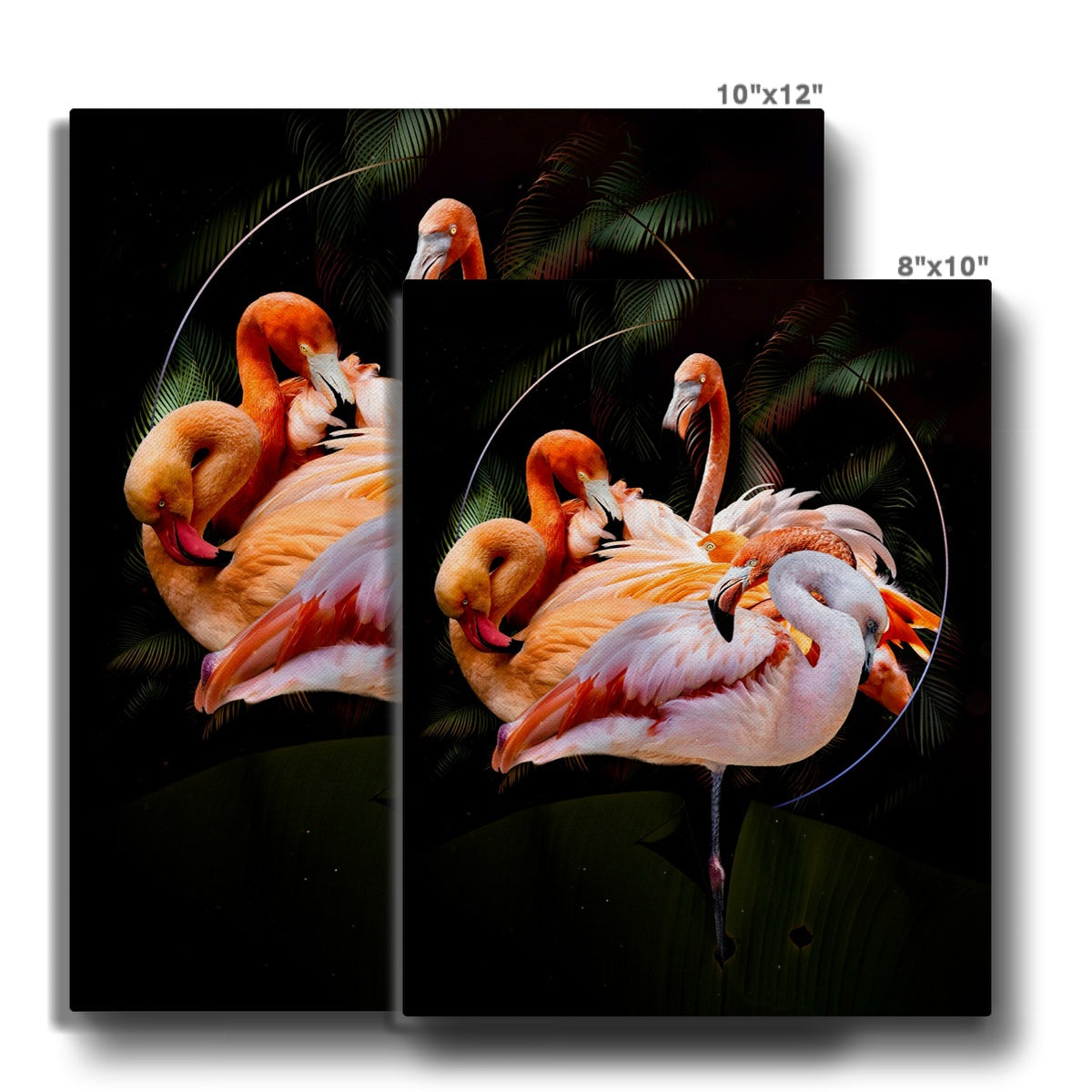 Striking Flamingo Wall Art  Canvas