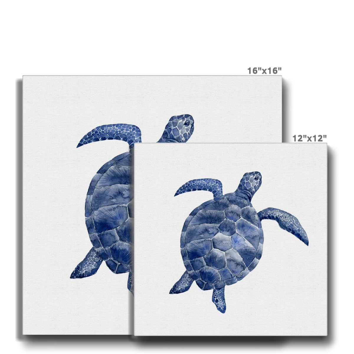 Tranquil Turtle Seascapes Canvas