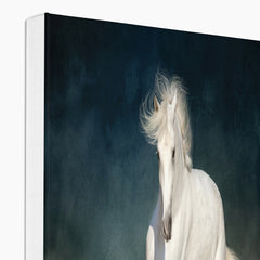 Enchanting White Horse Beauty Canvas