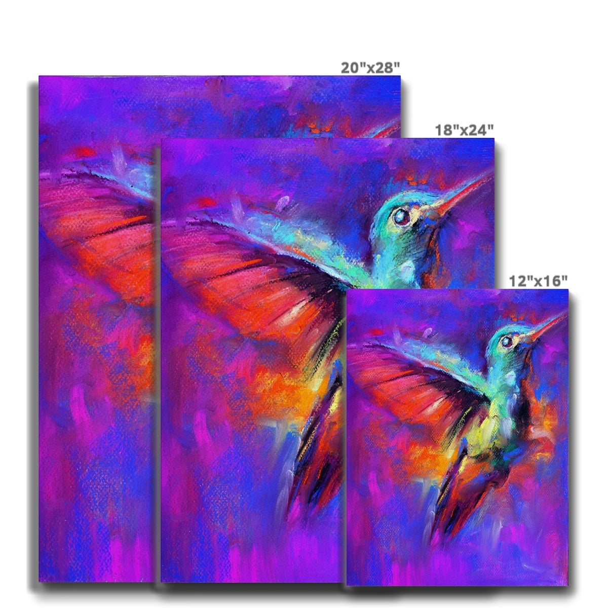 Abstract Multi Colour Humming Bird Art Canvas