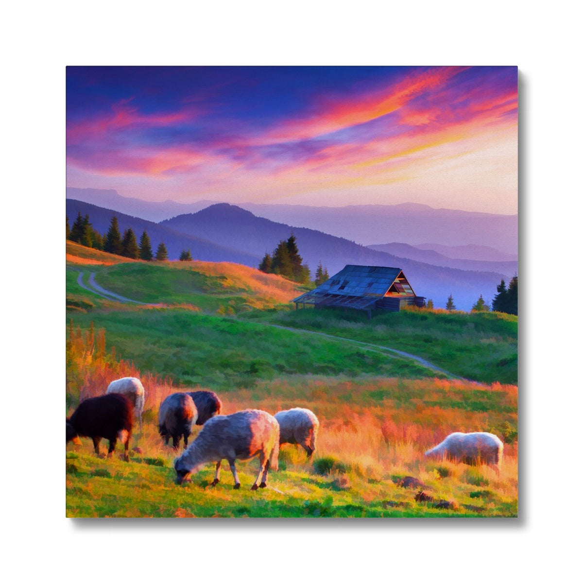 Oil Painting Of Sunset & Sheep Canvas