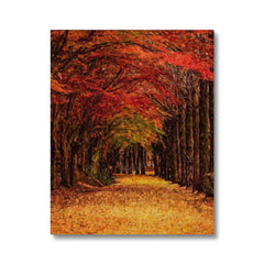 Autumn Fall Pathway Art Canvas