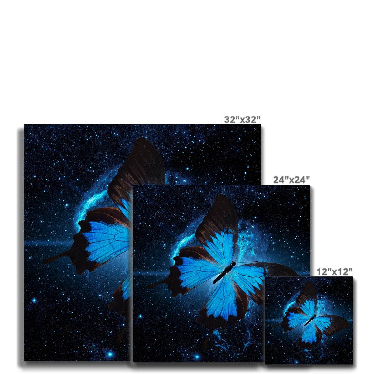 Nocturnal Sky Wings Canvas