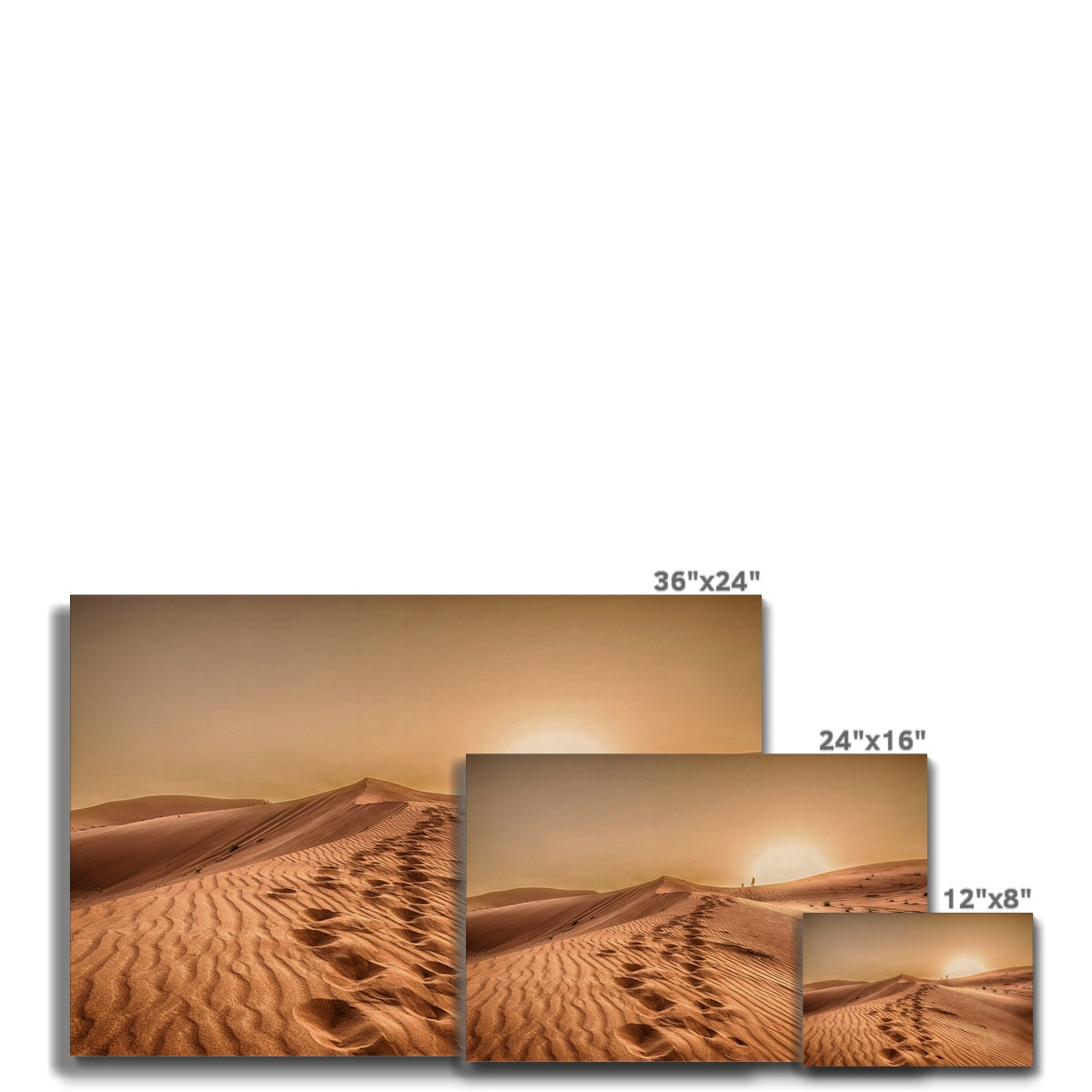 Desert Beauty Canvas