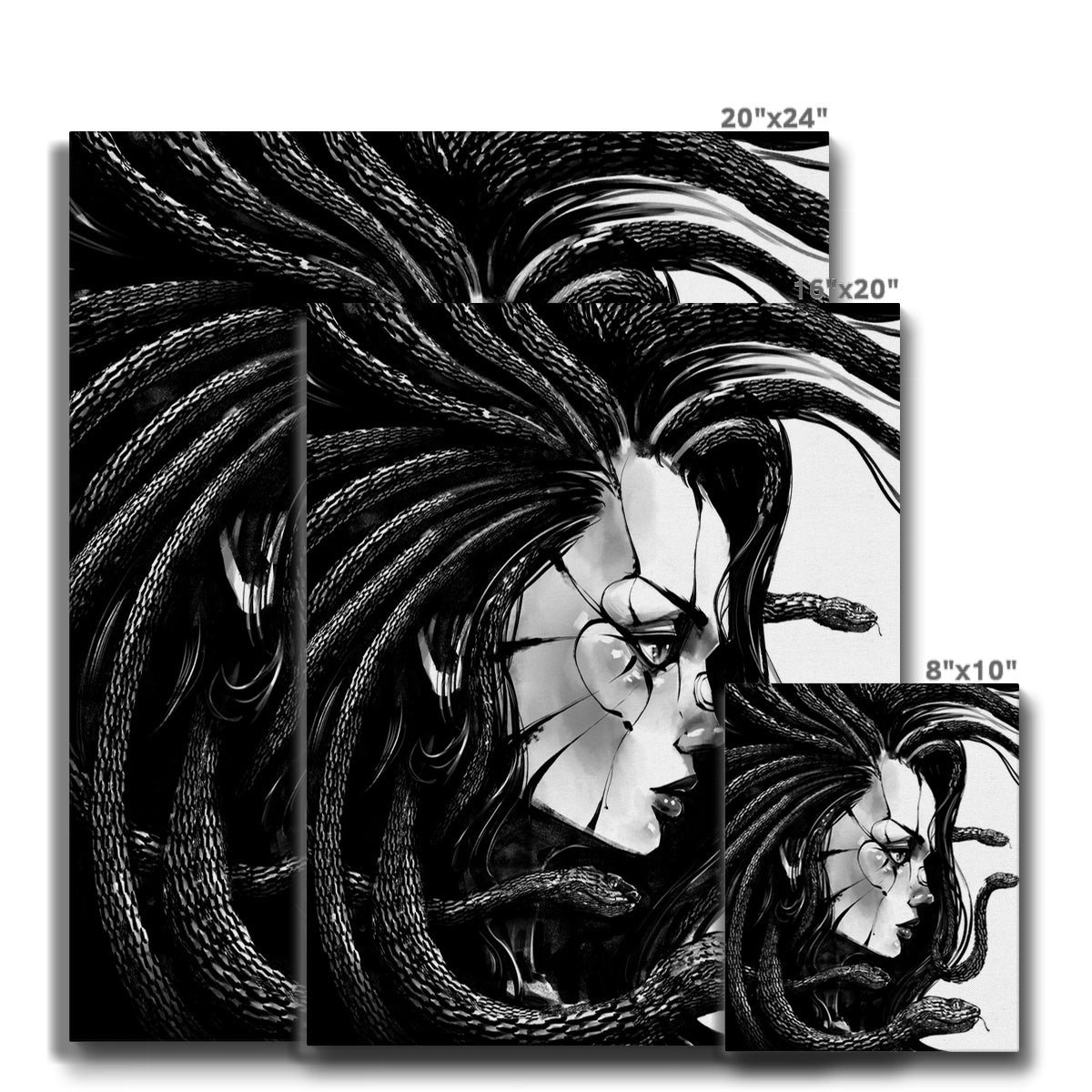 White & Black Medusa Illustration Canvas