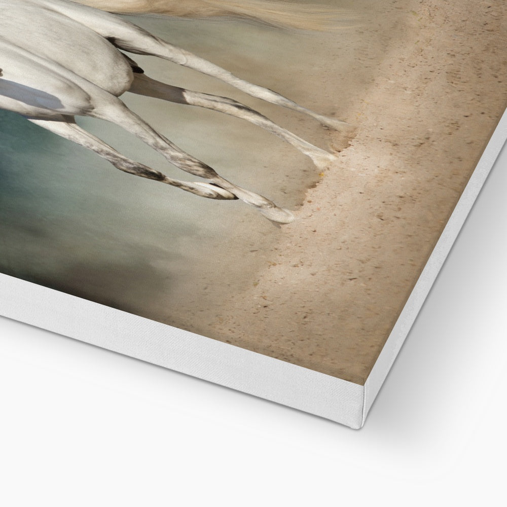 Enchanting White Horse Beauty Canvas