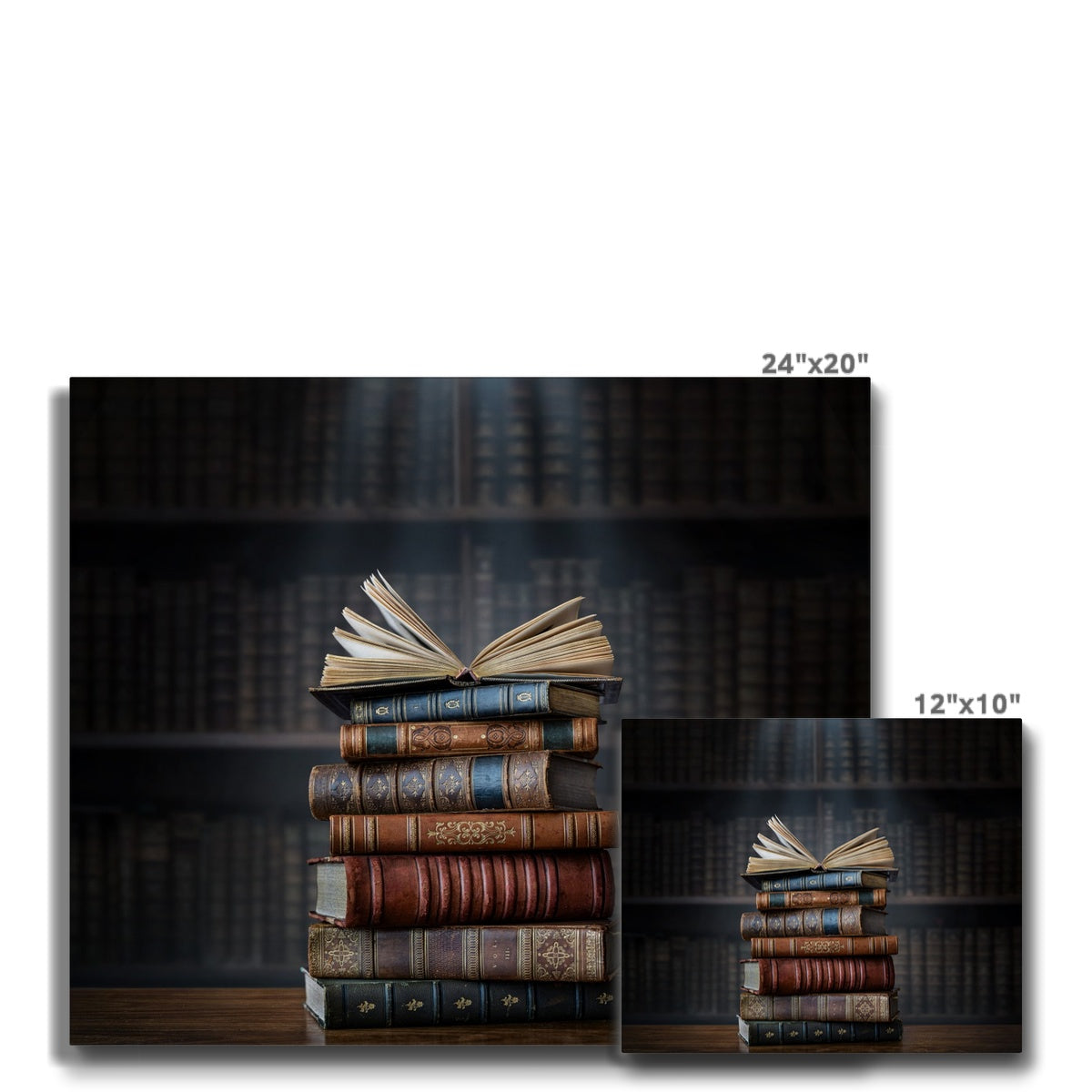 Books Library Wall Art Canvas