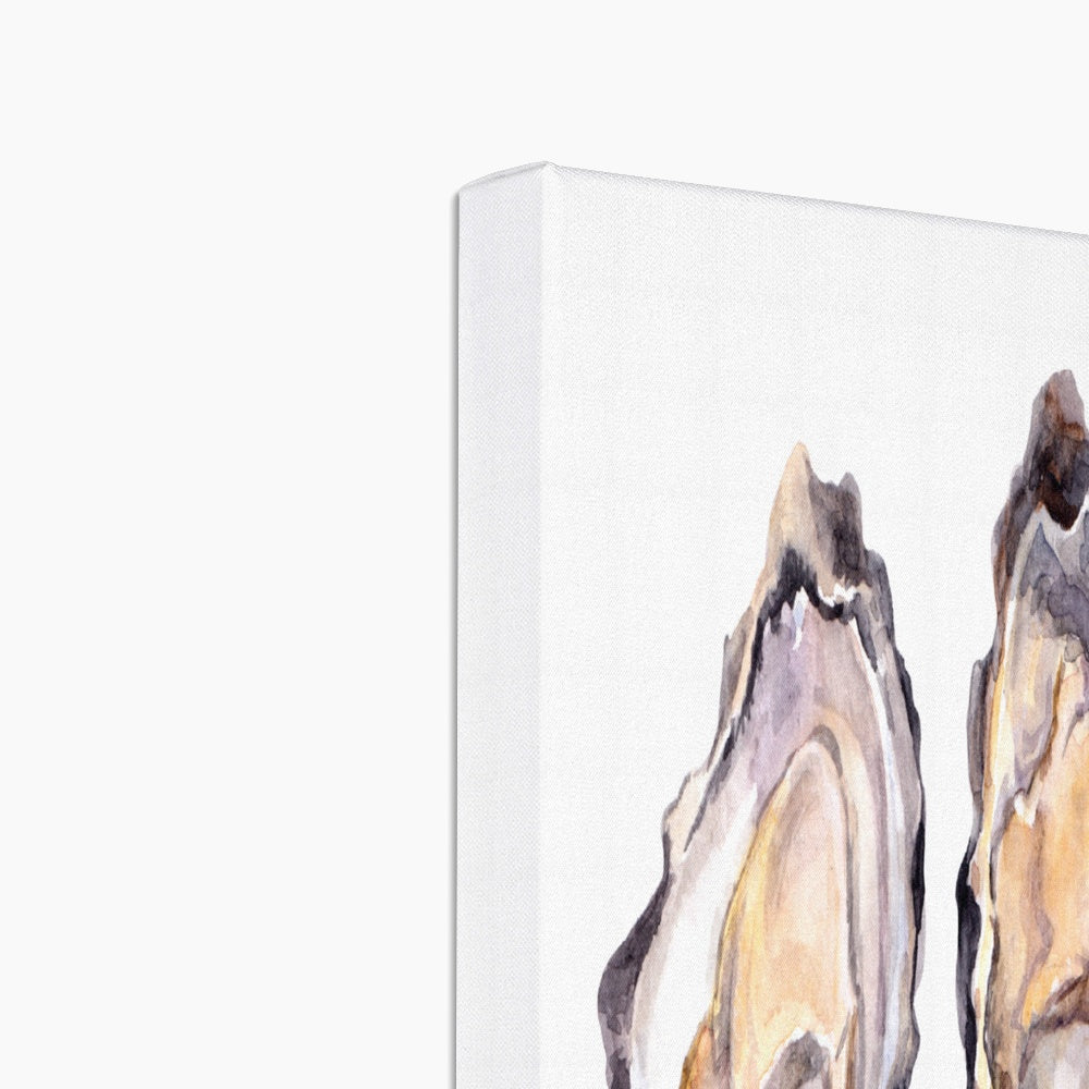 Oyster Shell Art  Canvas