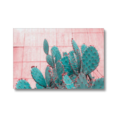 Cactus Dreamland Canvas Canvas