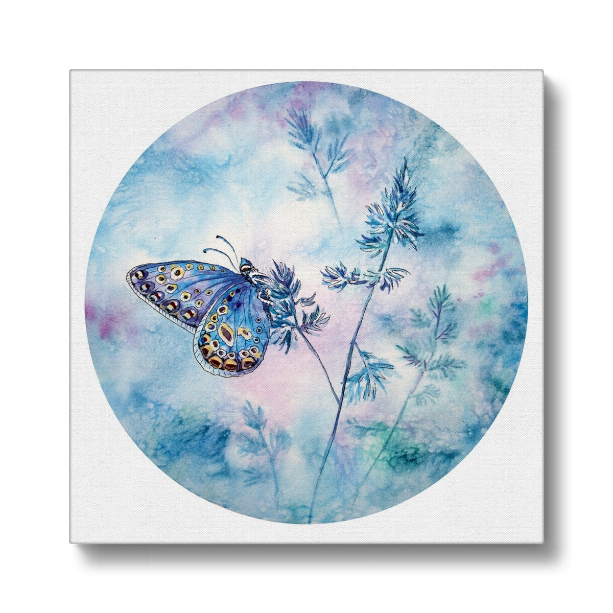 Ethereal Butterfly Display  Canvas