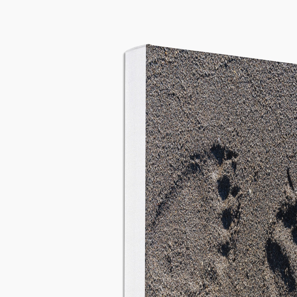 Bear's Muddy Footprint Canvas