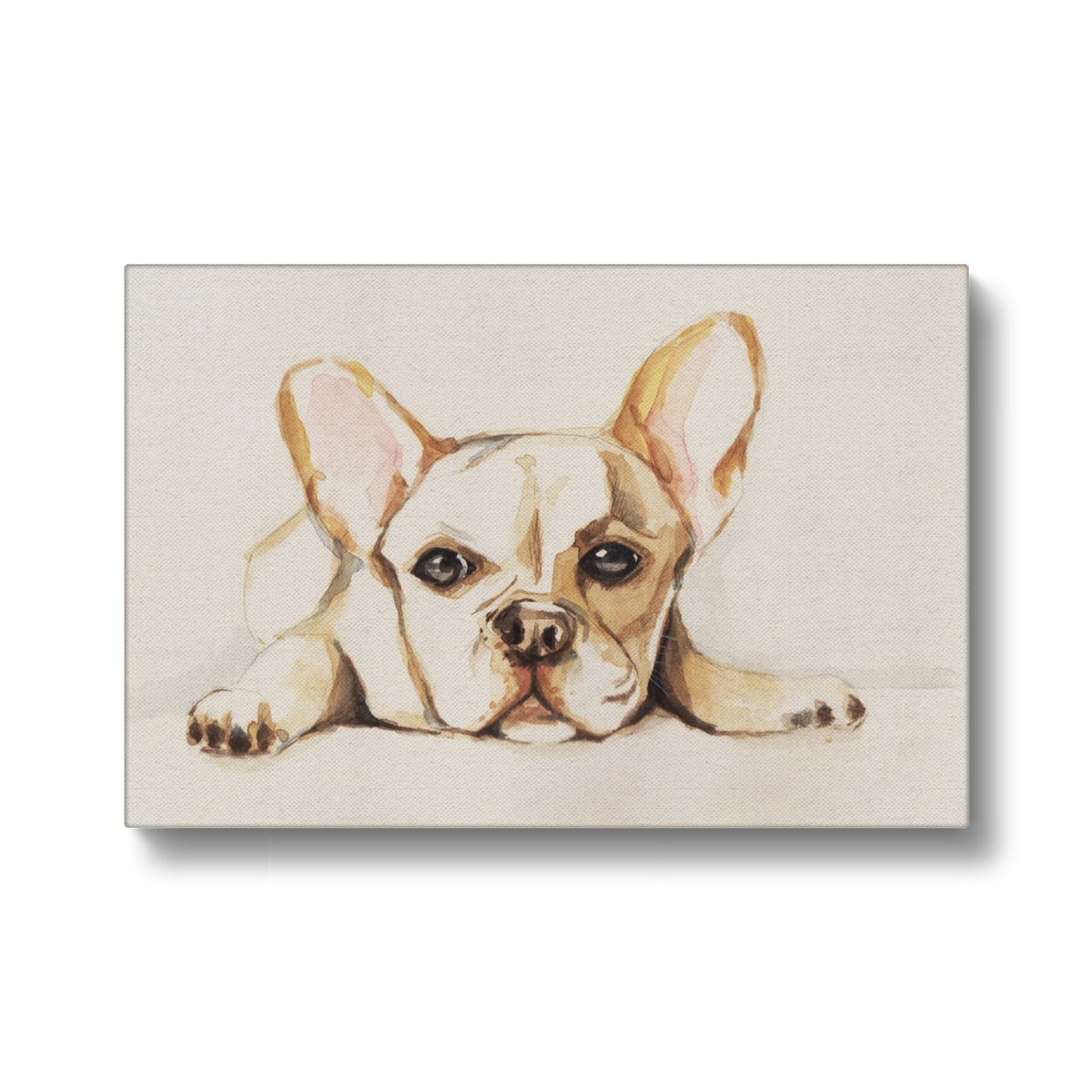 Light Brown Chihuahua Illustration Canvas