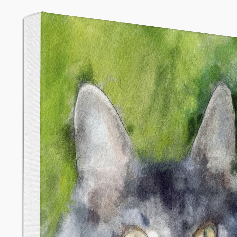 Impressive Gray Cat Portrait Canvas