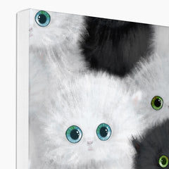 Adorable Black & Whiten Kittens  Canvas