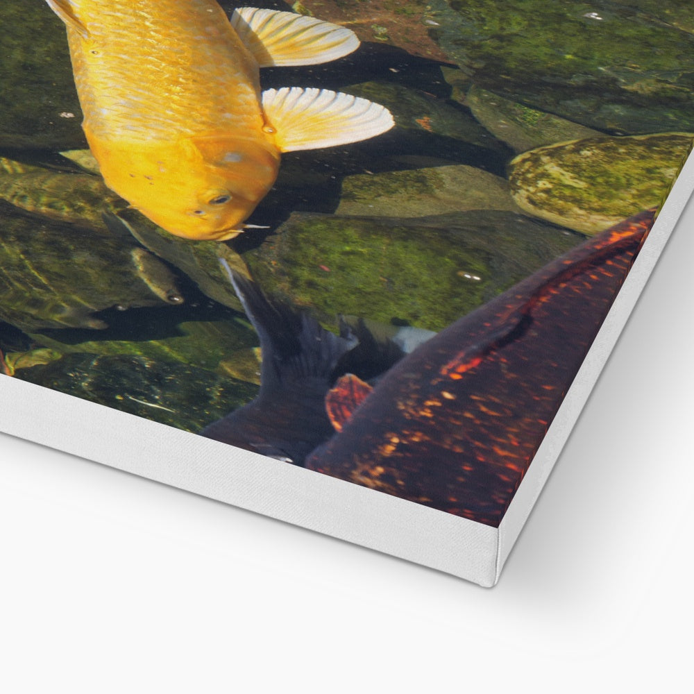 Ethereal Yellow Koi Fish Canvas