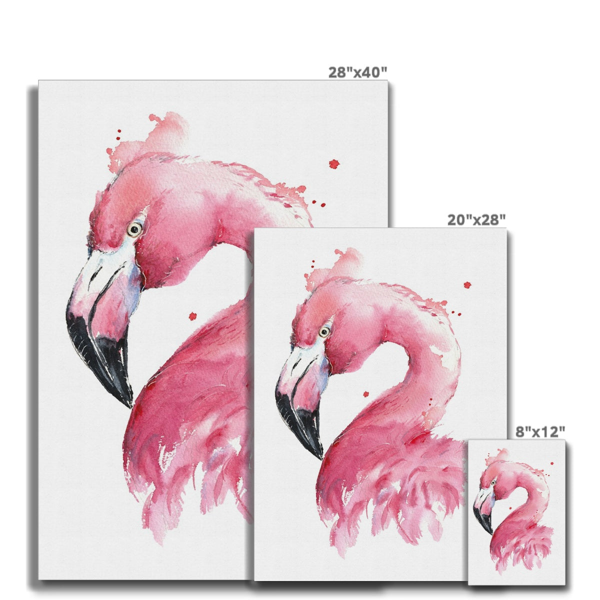 Flamingo Watercolor Portrait Canvas